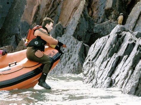 bddmlr|british divers marine life rescue.